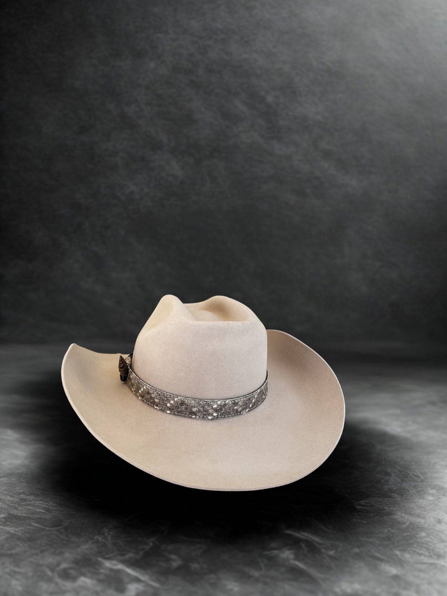 Chapeau Wilder Hat Co SnakeDeagle en feutre avec motif serpent et aigle, style élégant et unique, porté en extérieur.