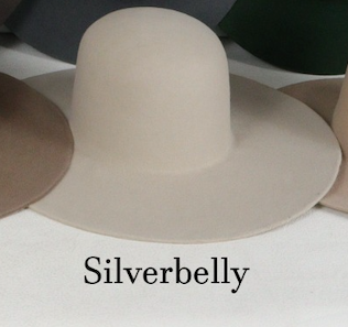 Silverbely