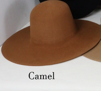 Camel