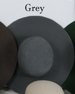 Gris bleuté