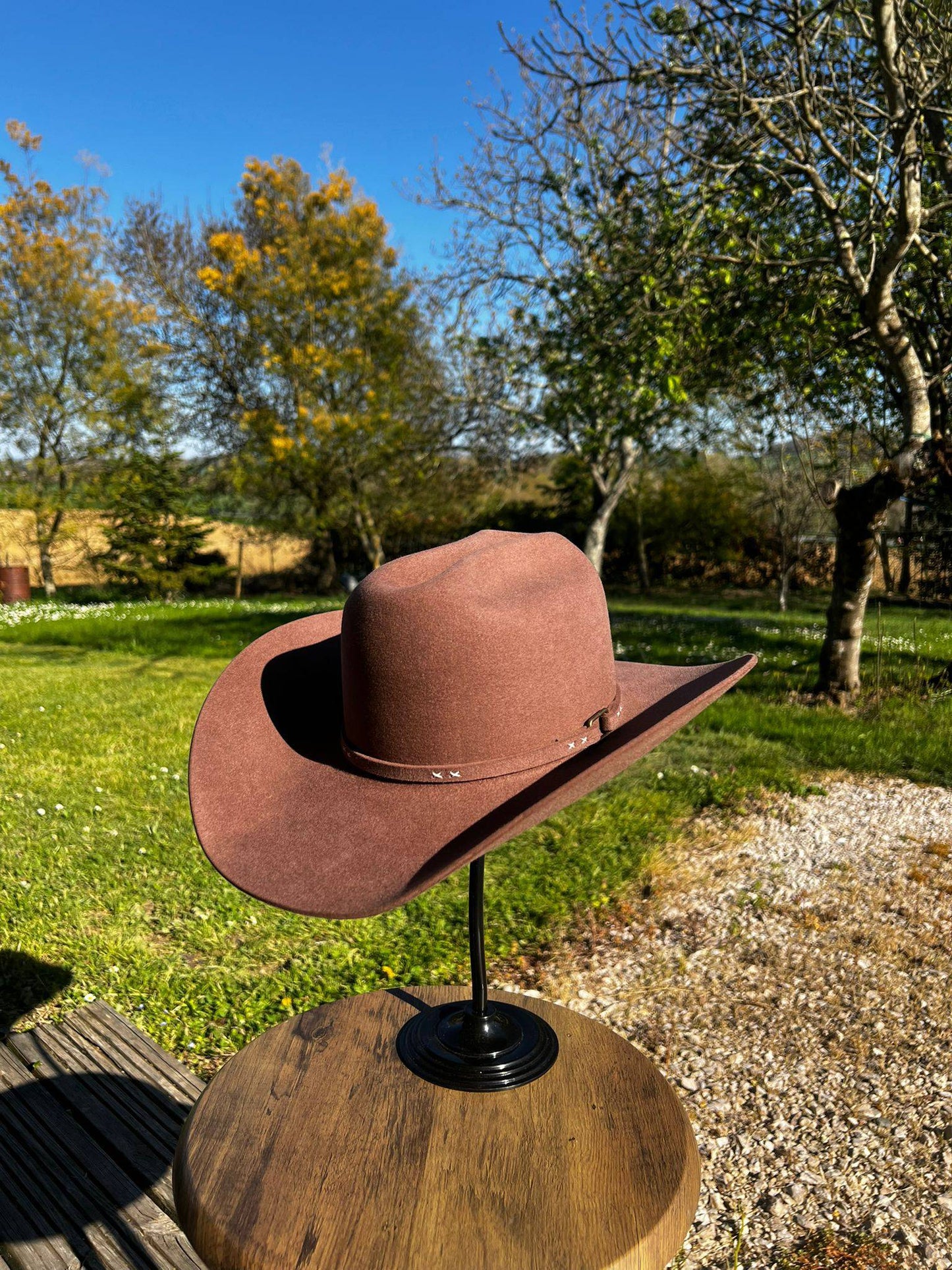Chapeau pour femmes Sierra Ladies en castor 10X de Wilder Hat Co, vue en gros plan avec bord large et texture douce.