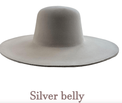Silverbely