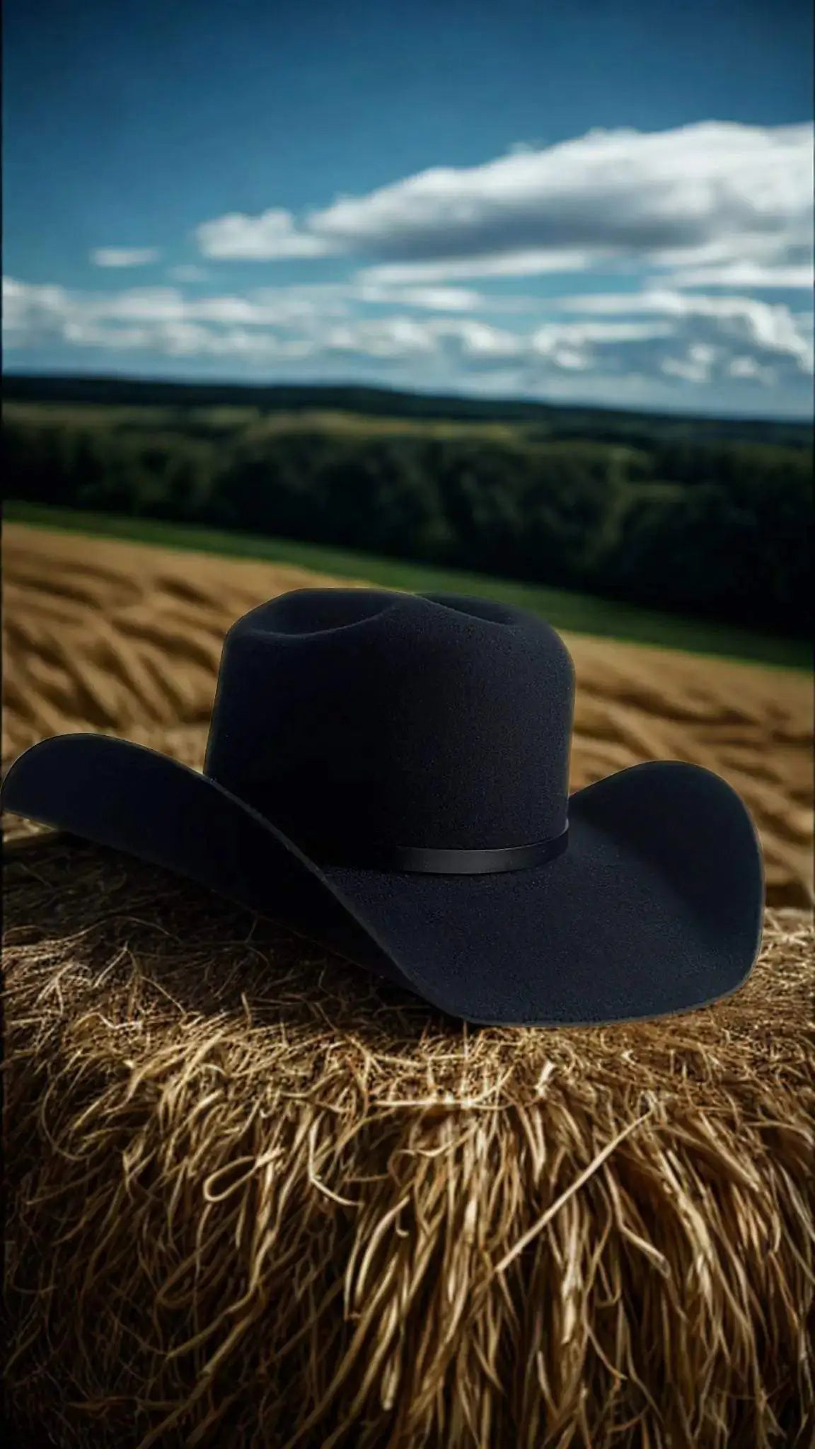 Chapeau noir Wilder Shop de Wilder Hat Co, style classique avec ceinture, taille 55 cm, vue de face.